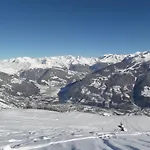 Les Campanules