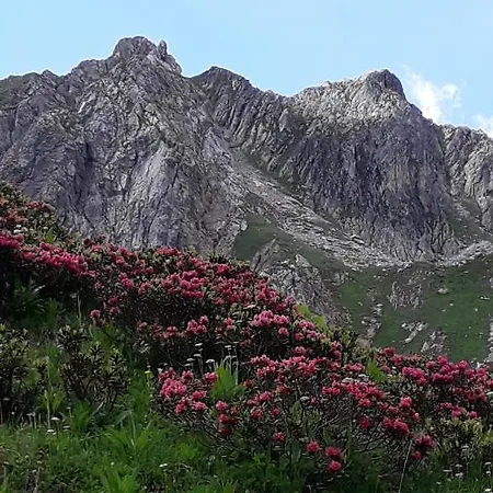 Διαμέρισμα Les Campanules