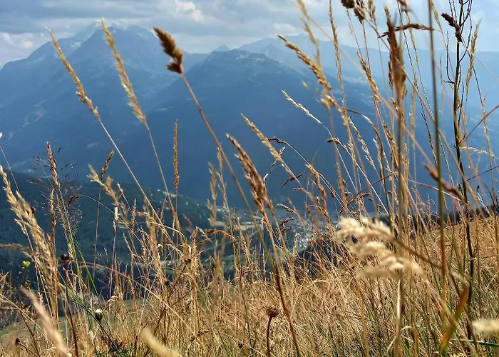 Les Campanules بور سان موريس
